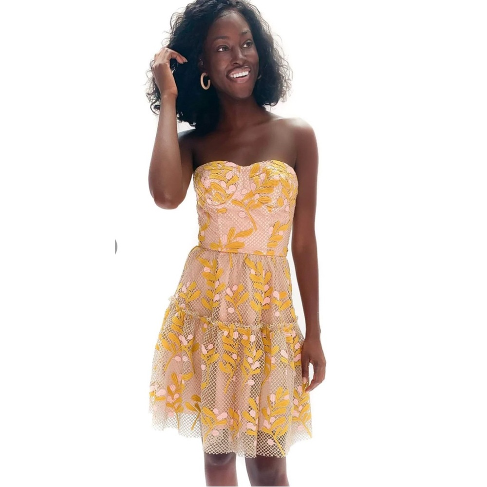 NWOT Eva Franco Cossette Dress - Cottage Lace Gold & Pink Size 6